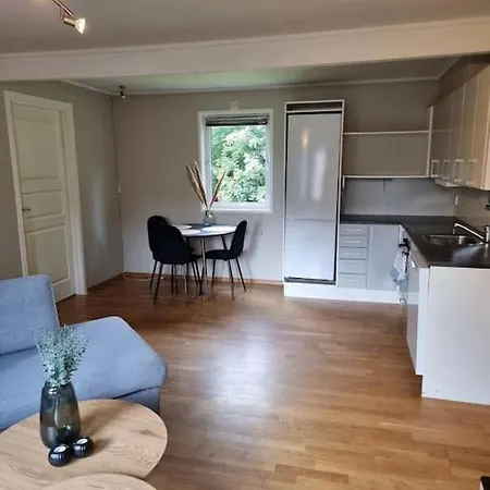 公寓 Koselig Med Terrasse Ons